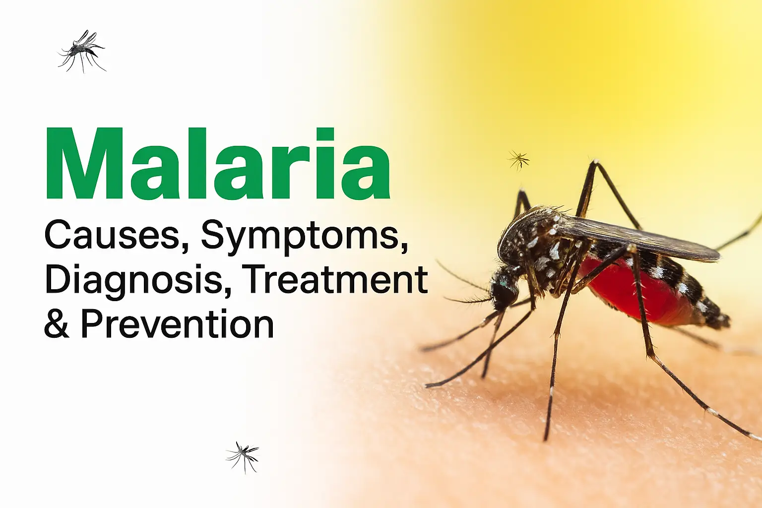 Malaria symptoms and prevention - mosquito bite causes, diagnosis, treatment and prevention tips