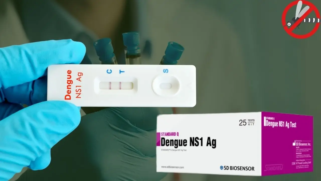 Dengue NS1 antigen test kit used for early detection of dengue virus
