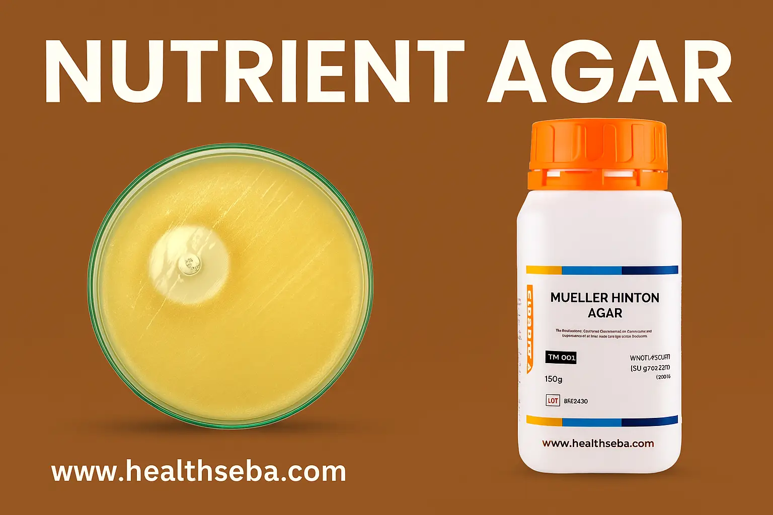 Nutrient Agar medium used for microbiological culture and laboratory applications