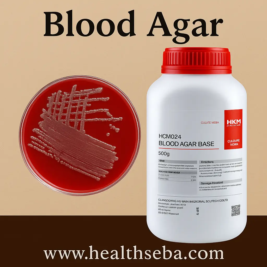 Blood Agar – microbiological culture medium for bacterial growth and hemolysis study