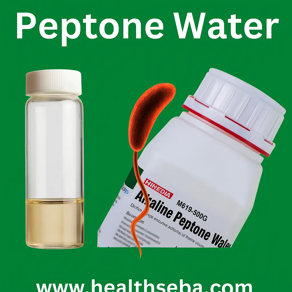 Peptone Water culture media used in microbiology for bacterial growth Title Text: Peptone Water – Microbiology Culture Media