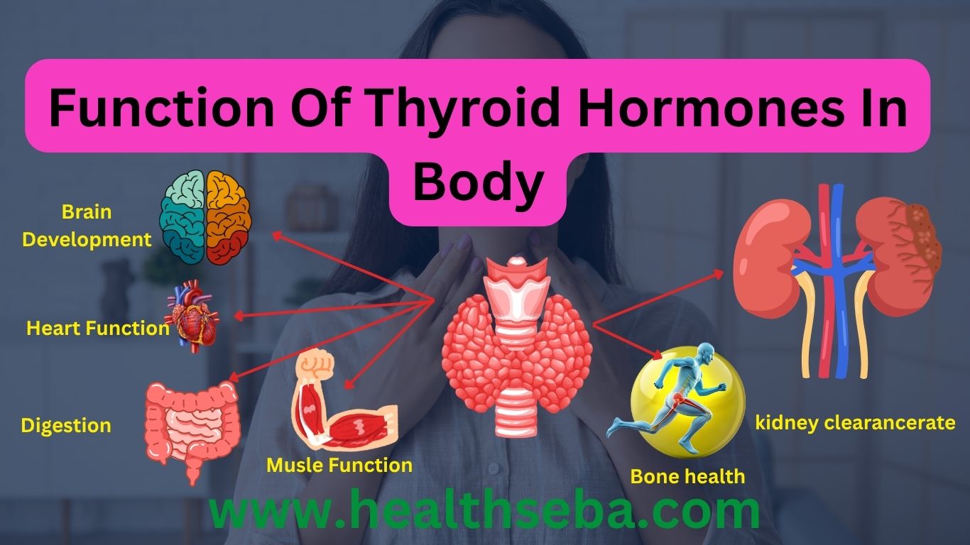 Diagram showing the function of thyroid hormones T3 and T4 in regulating metabolism, energy, and growth