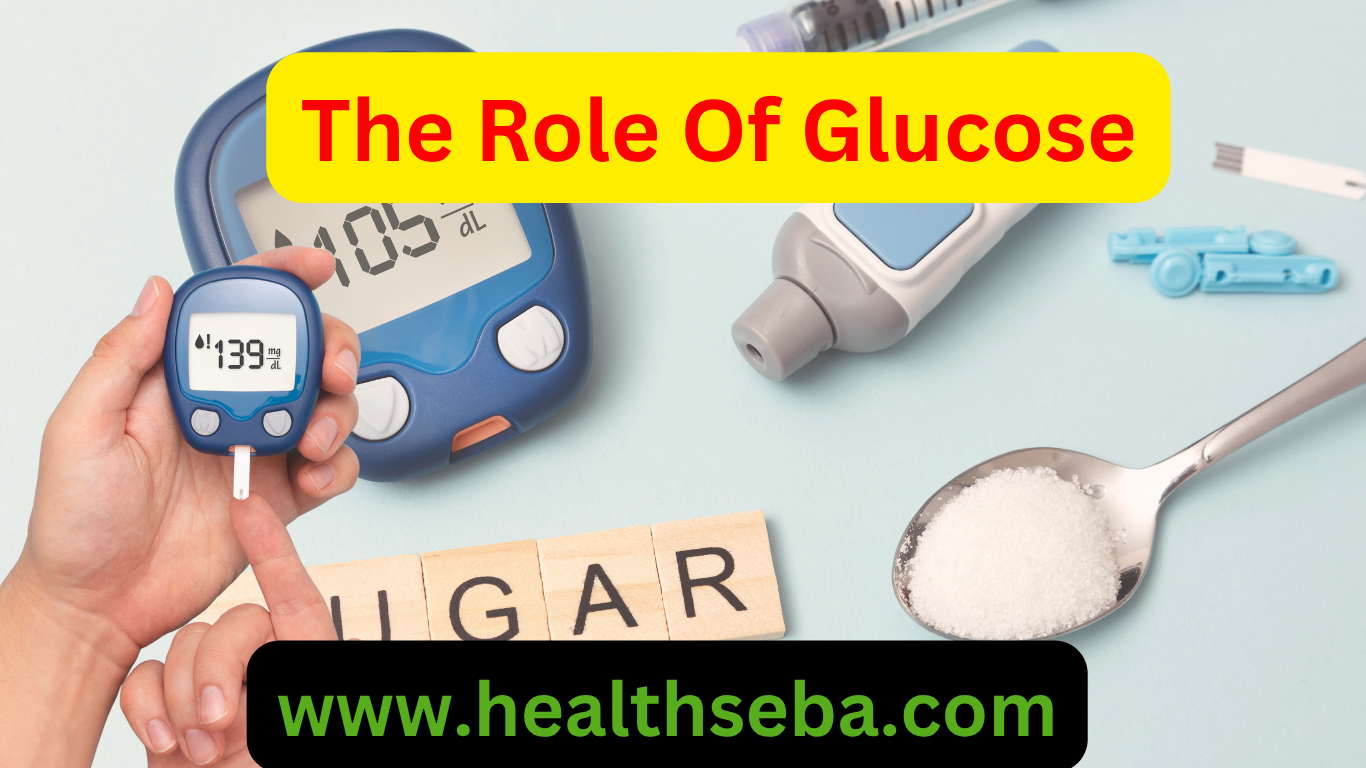 The role of glucose in providing energy to the human body
